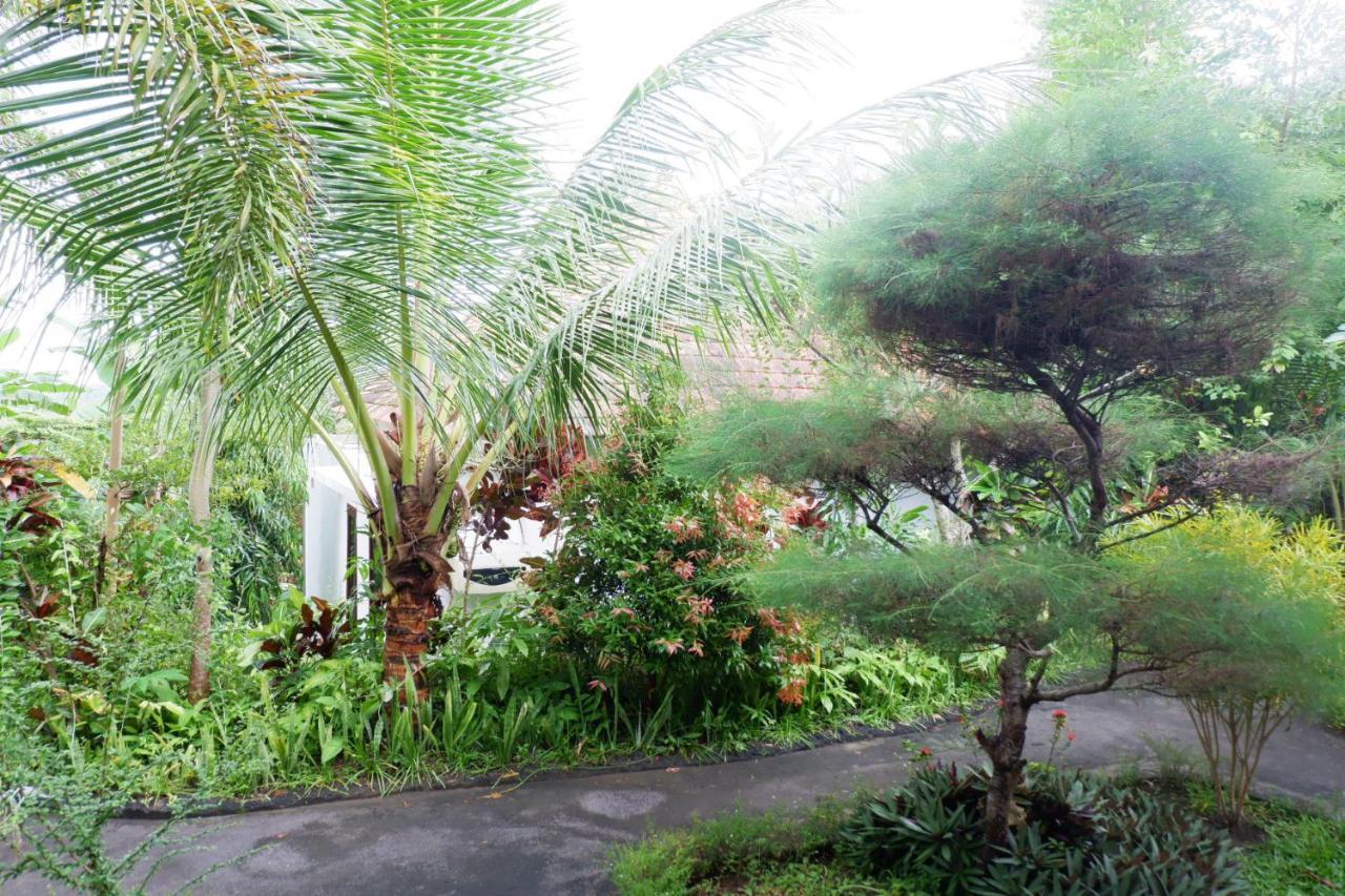Arya Resort Nusa Penida Toyapakeh Ngoại thất bức ảnh